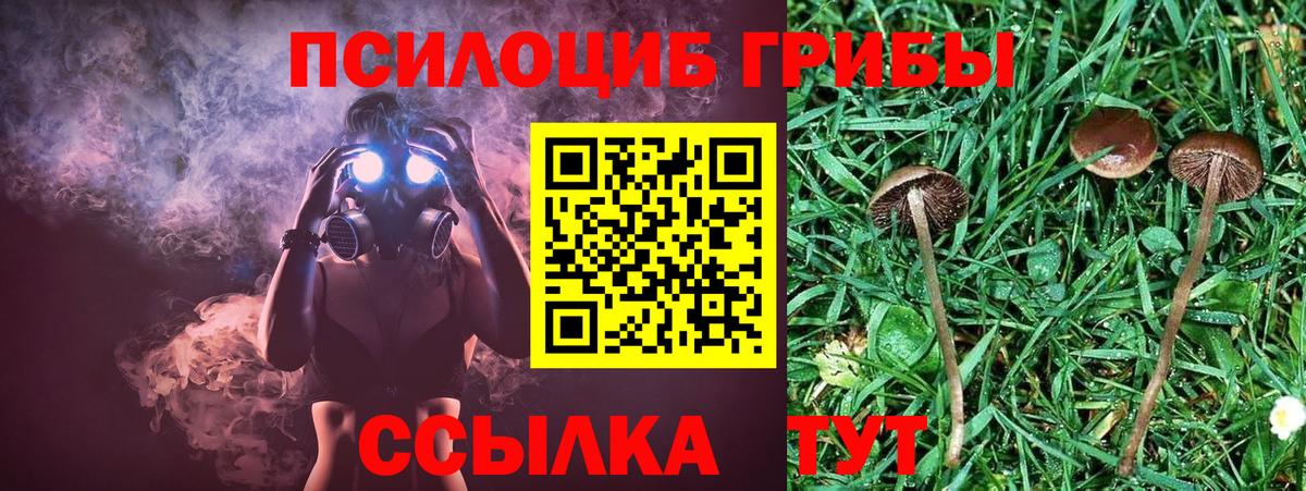 Галлюциногенные грибы мицелий  Вход с VPN  Волхов 