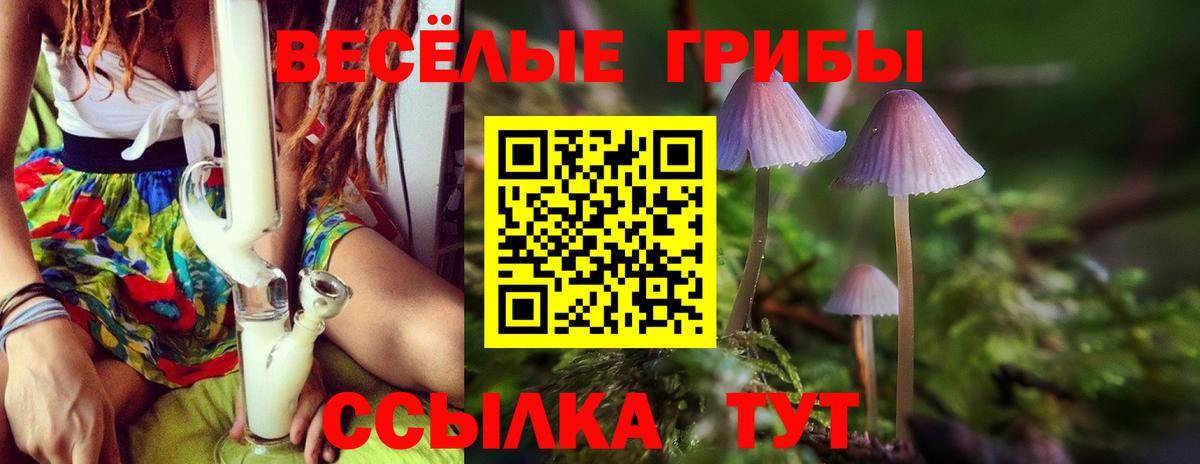 Галлюциногенные грибы мицелий Волхов